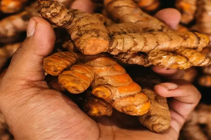 Turmeric